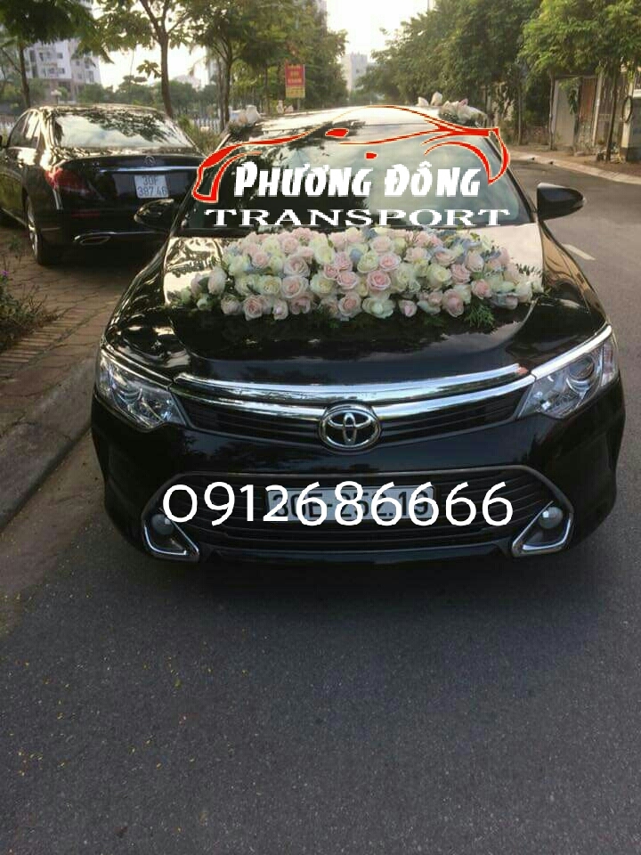 Cho thuê xe 4 chỗ tại Hải tiến Thanh Hóa 
